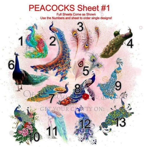 Peacock FULL sheet clear slides - Main glitter site 