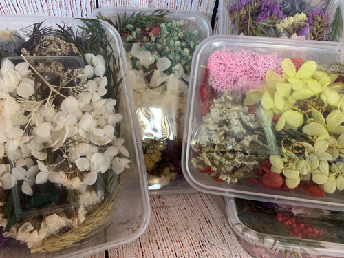 Dried flower bundle - Main glitter site 